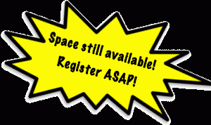 Disabled Artist Booth Space